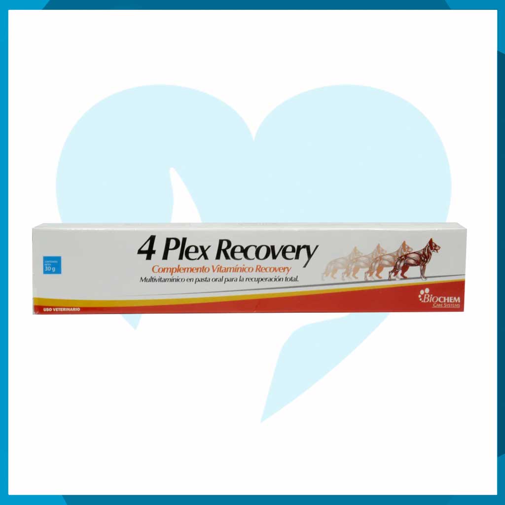 4 Plex Recovery Pasta Oral 30g