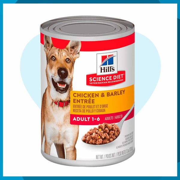 Alimento Hill's Science Diet Original Adulto Para Perro Lata 370g