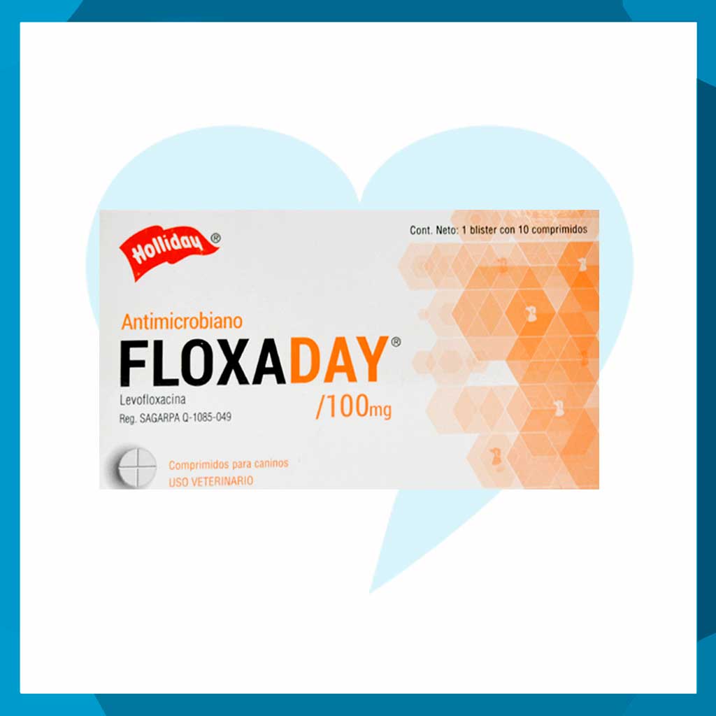 Floxaday 100mg 10 Comprimidos