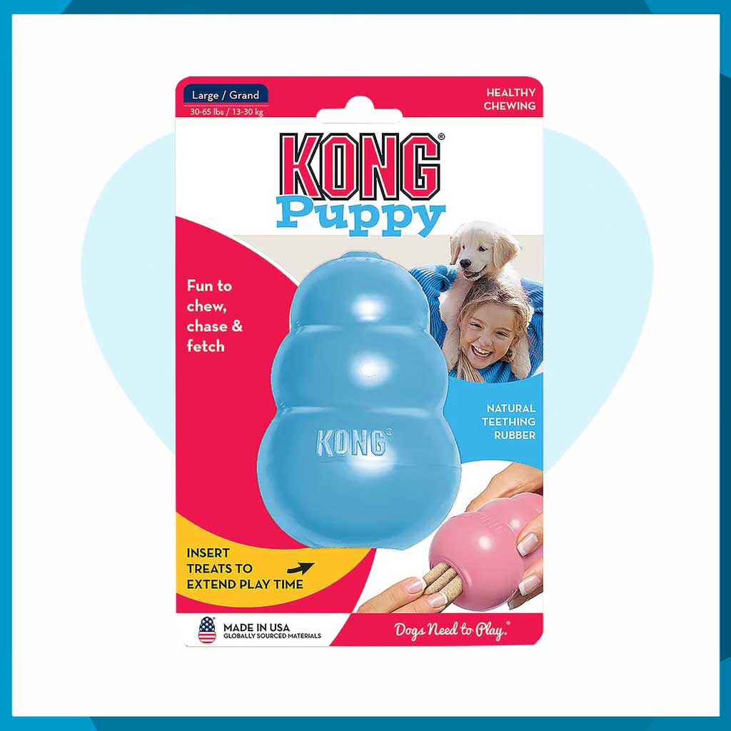 Juguete Kong Puppy Grande Para Perro