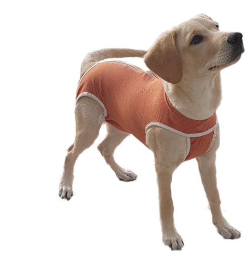 Body Cobre Original Talla 10 de 25-30kg