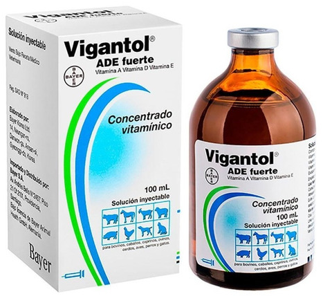 Vigantol ADE Fuerte Solución Inyectable 100ml