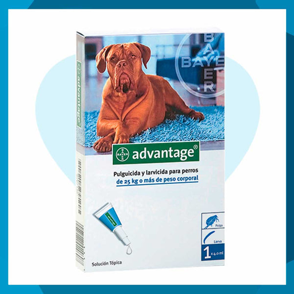 Advantage Solución Tópica de 25 a más kg