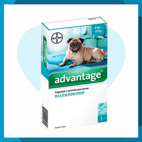 Advantage Solución Tópica de 4 a 10kg