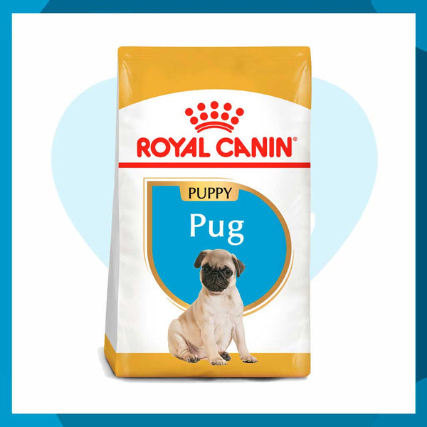 Alimento Royal Canin BHN Pug Puppy 1.13kg