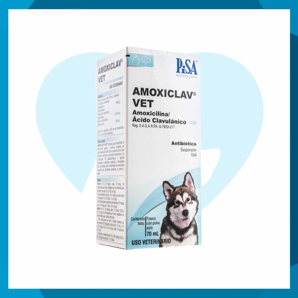 Amoxiclav Vet Suspensión Oral 70ml
