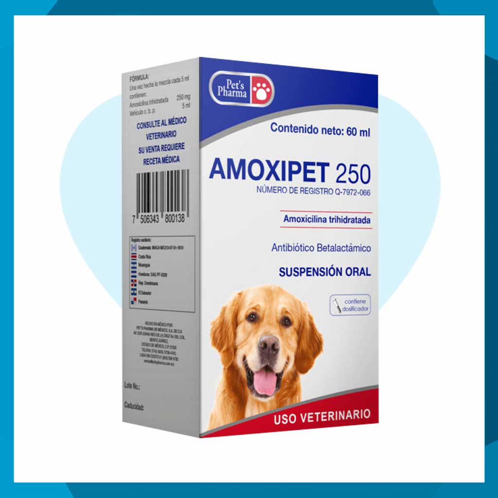 Amoxipet 250 Suspensión Oral 60ml