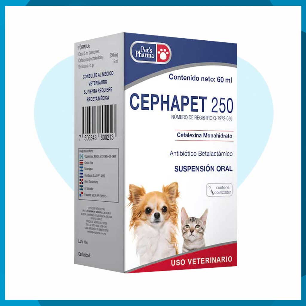 Cephapet 250 Suspensión Oral 60ml