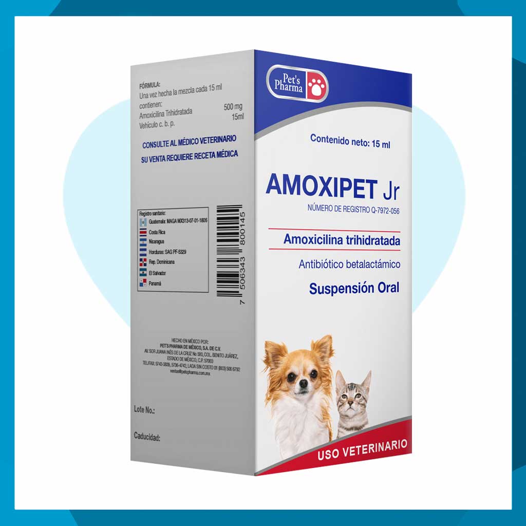 Amoxipet Jr Suspensión Oral 15ml