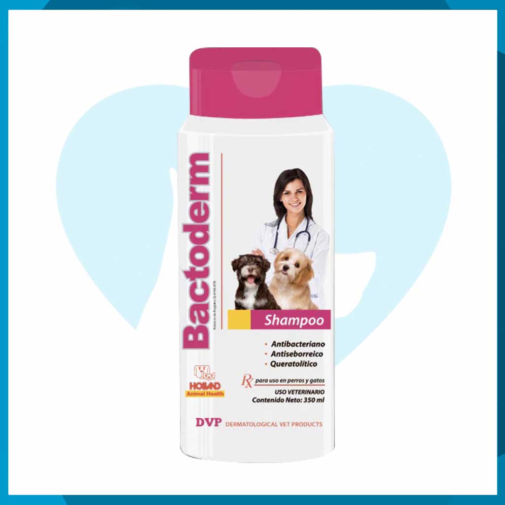 Bactoderm Shampoo 350ml
