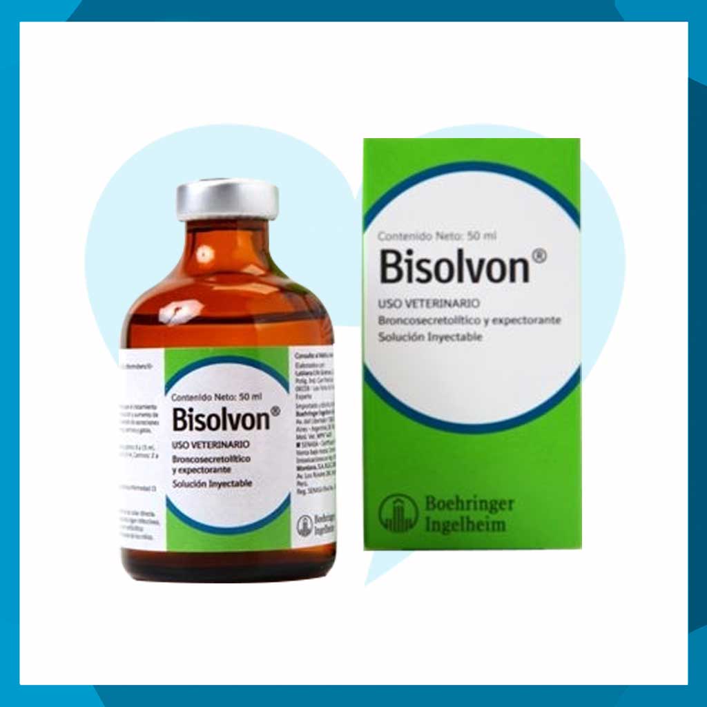 Bisolvon Solución Inyectable 100ml (requiere receta medica veterinaria vigente)