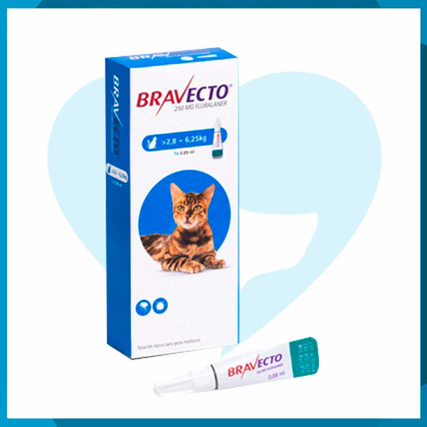 Bravecto Spot On Para Gatos Medianos 250mg 2.8 - 6.25kg 1pz