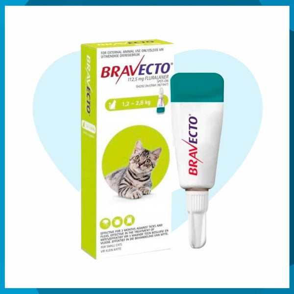 Bravecto Spot On Para Gatos Pequeños 112.5mg 1.2 - 2.8kg 1Pz