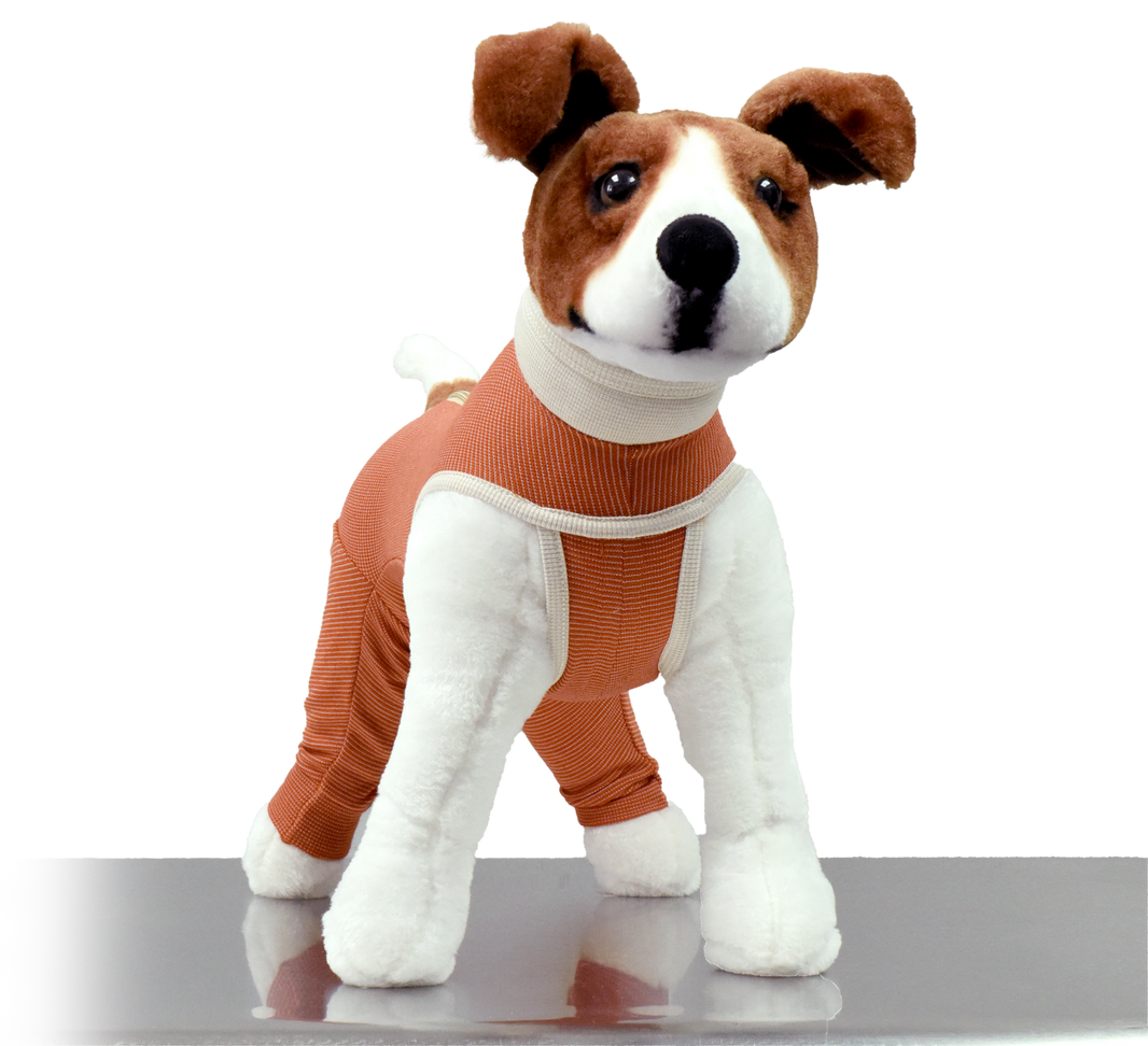 Body Cobre 2 Patas Talla 05 de 7.5-10kg