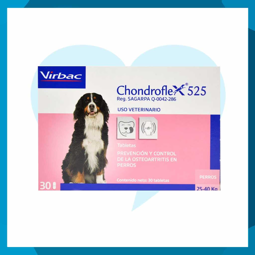Chondroflex 525 Caja 30 Tabletas