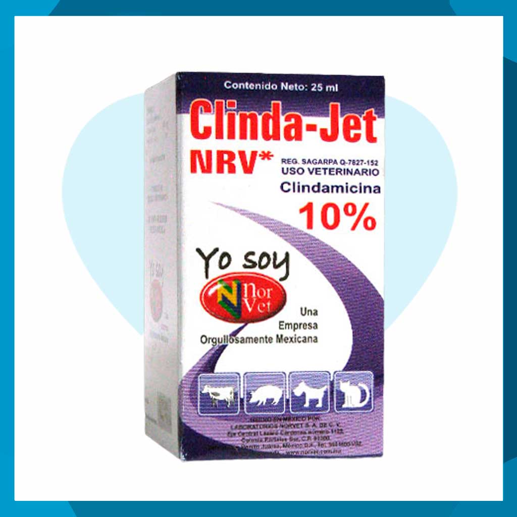 Clinda Jet Solución inyectable 25ml