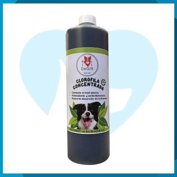 Clorofila Concentrada Frasco 500ml