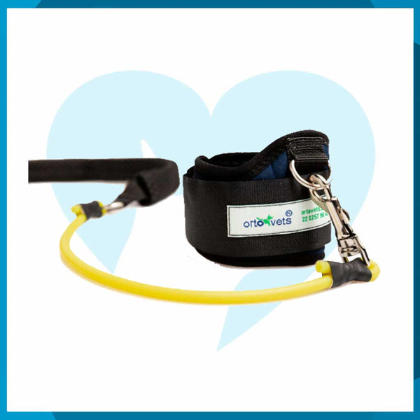 Corrector de Marcha Miembro Posterior Talla MED (A 11.5-15 B 51-70)