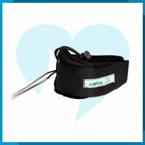 Corrector Deficit Propioceptivo Para Perro Tensor de Dedos XCH 5cm a 7cm