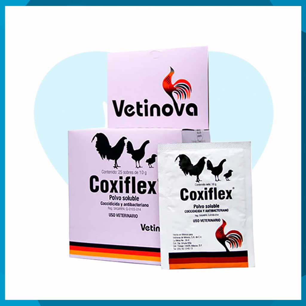 Coxiflex Polvo Soluble Sobre 10g