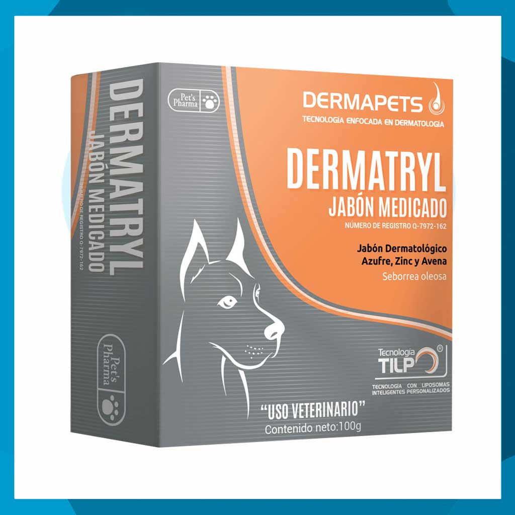 Dermatryl Medicado Jabón 100g