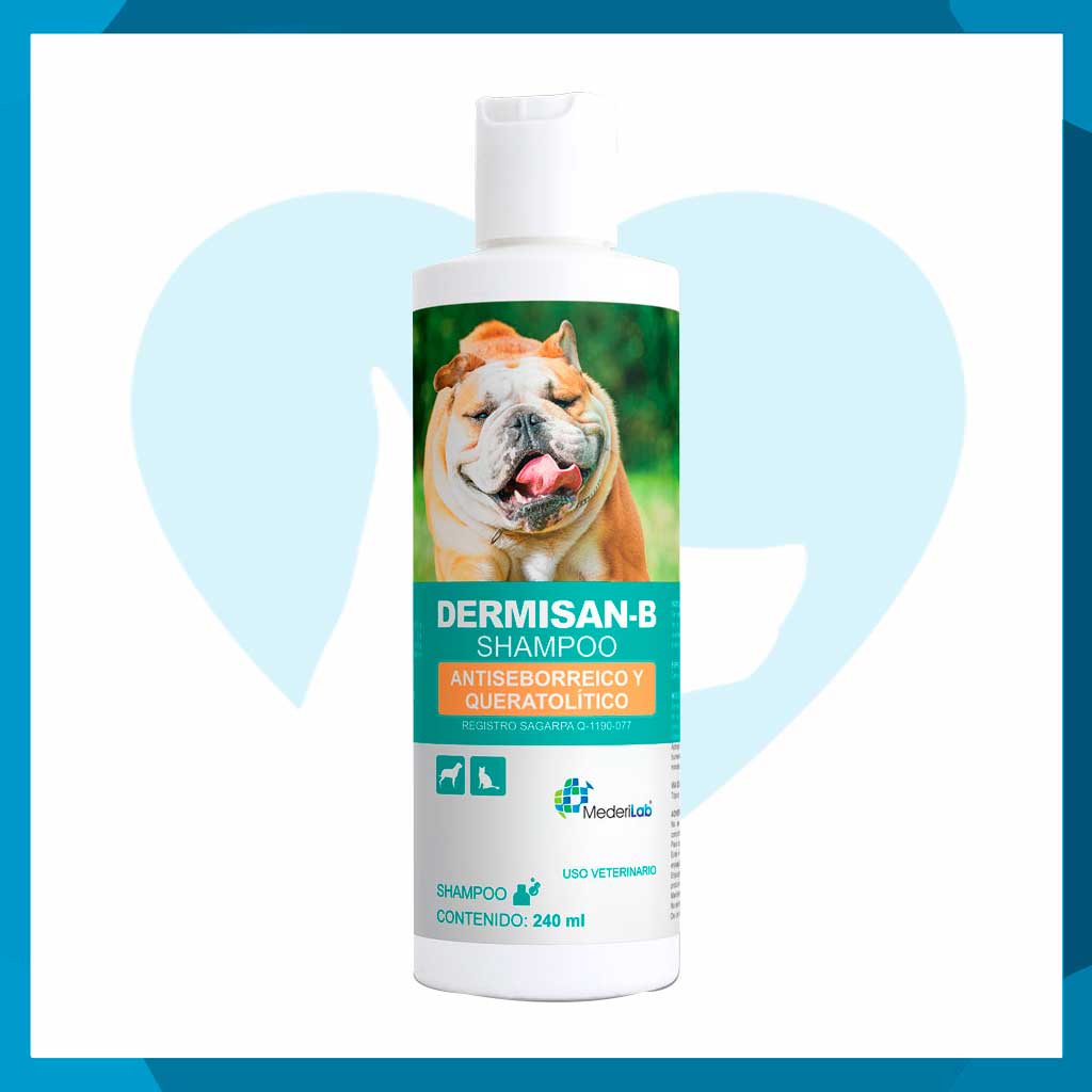 Dermisan-B Shampoo 240ml