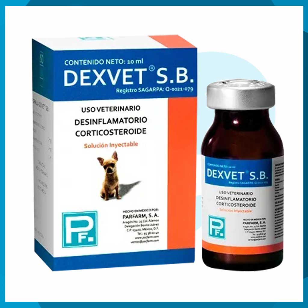 Dexvet S.B. Solución Inyectable 10ml