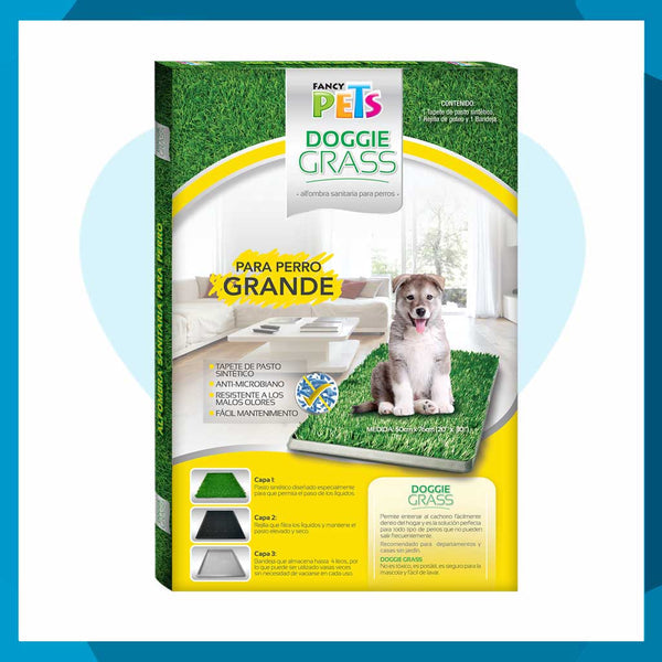 Doggie Grass Fancy Pets Grande Para Perros