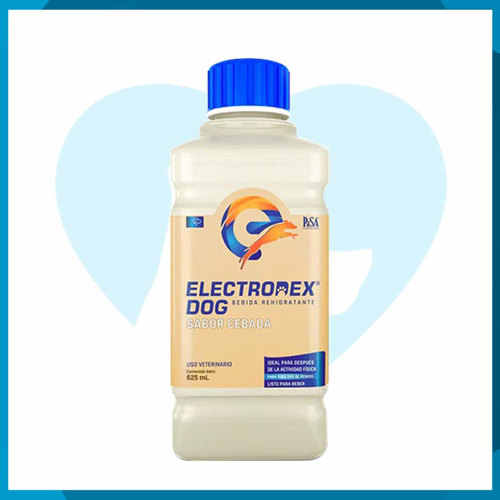 Electrodex Dog Sabor Cebada 625ml
