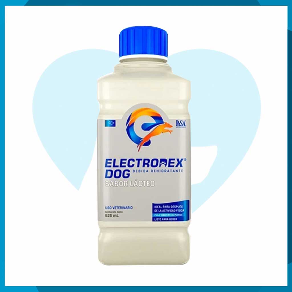 Electrodex Dog Sabor Lácteo 625ml
