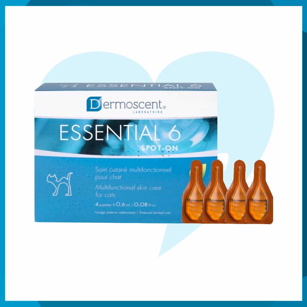 Essential 6 Spot-On Para Gato Caja 4 Pipetas