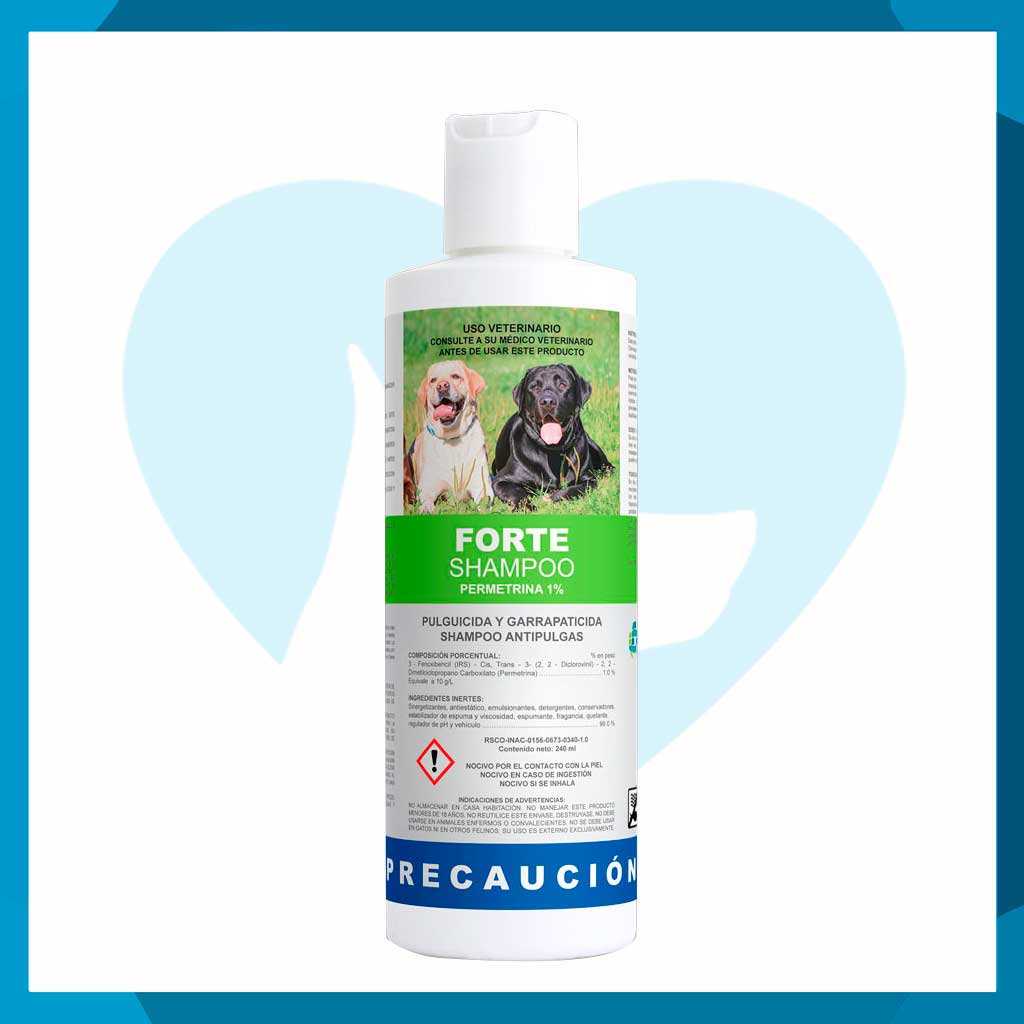 Forte Shampoo 240ml
