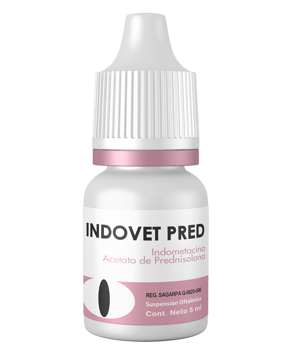 Indovet Pred Suspensión Oftálmica 5ml