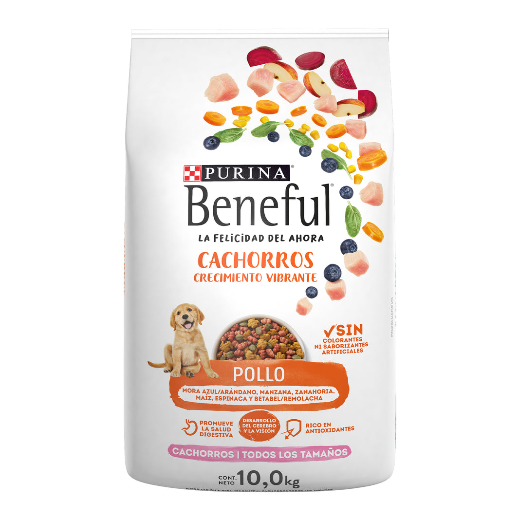 Beneful Cachorro 10 kg