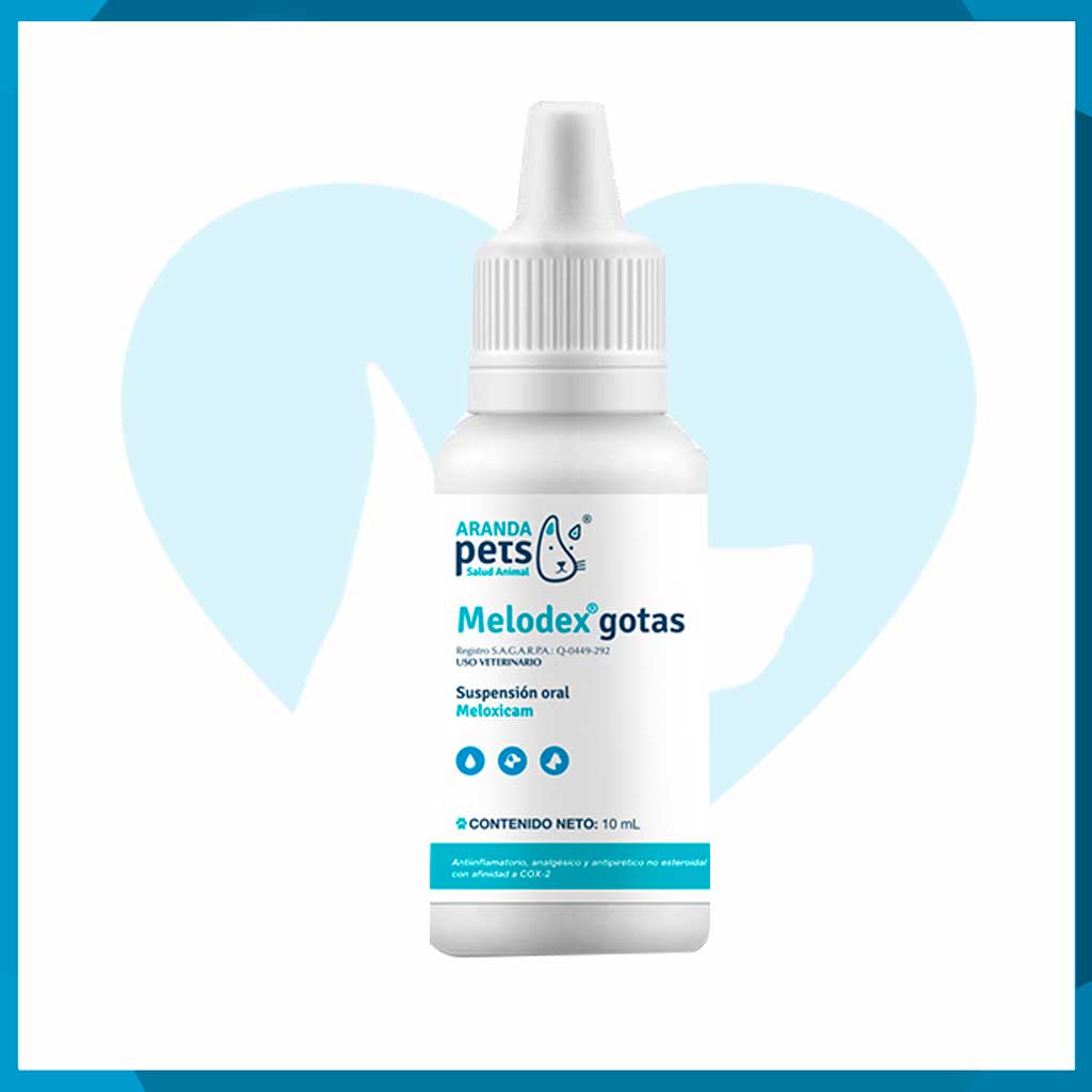 Melodex gotas Suspensión Oral 10ml (requiere receta medica veterinaria vigente)