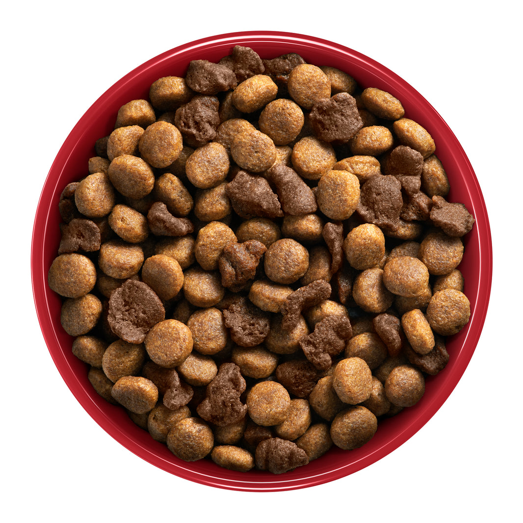 One Perro Adulto Carne 12 kg