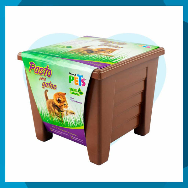 Pasto Fancy Pets Para Gatos