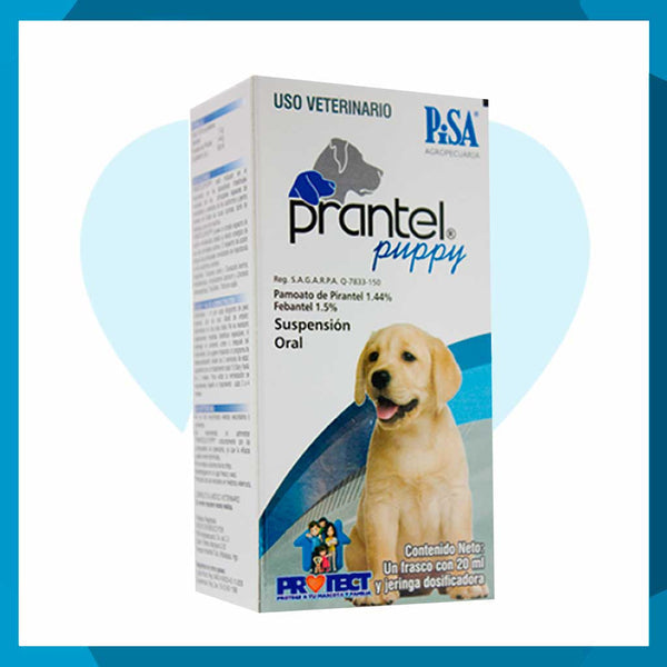 Prantel Puppy Suspensión Oral 20ml