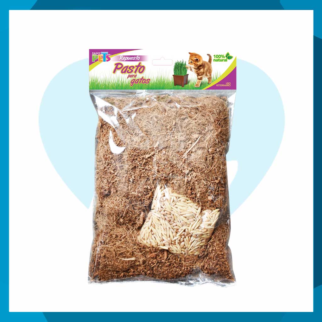Repuesto Fancy Pets Pasto Para Gato