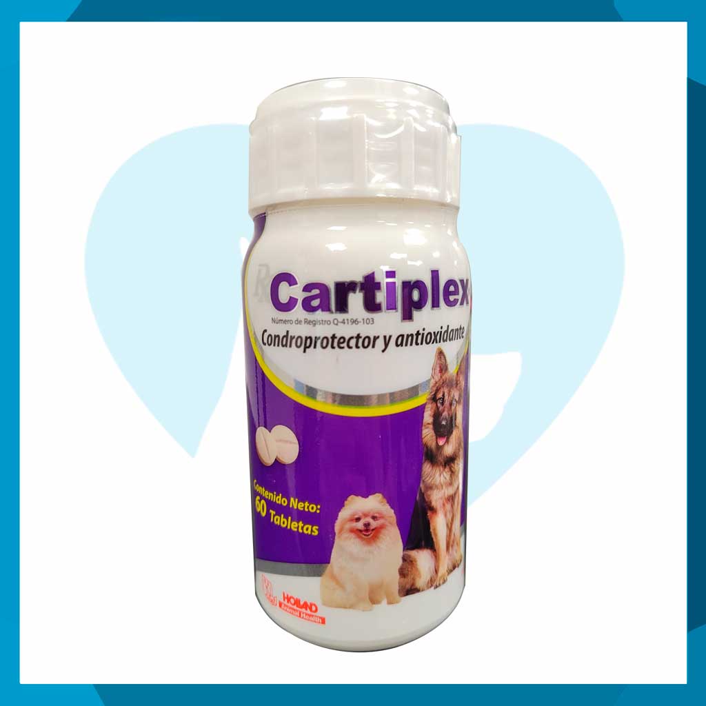 Rx Cartiplex Frasco 60 Tabletas