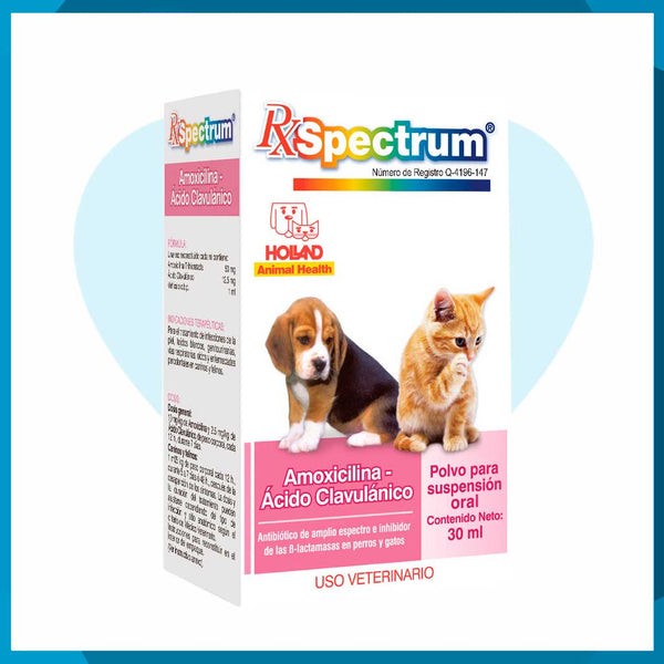 Rx Spectrum Amoxicilina y Ácido Clavulánico Suspensión 30ml