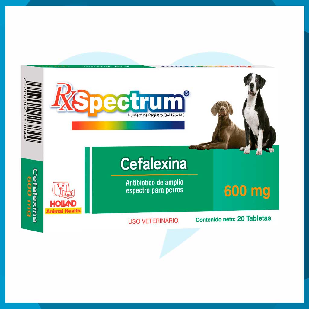 Rx Spectrum Cefalexina 600mg Caja 20 Tabletas