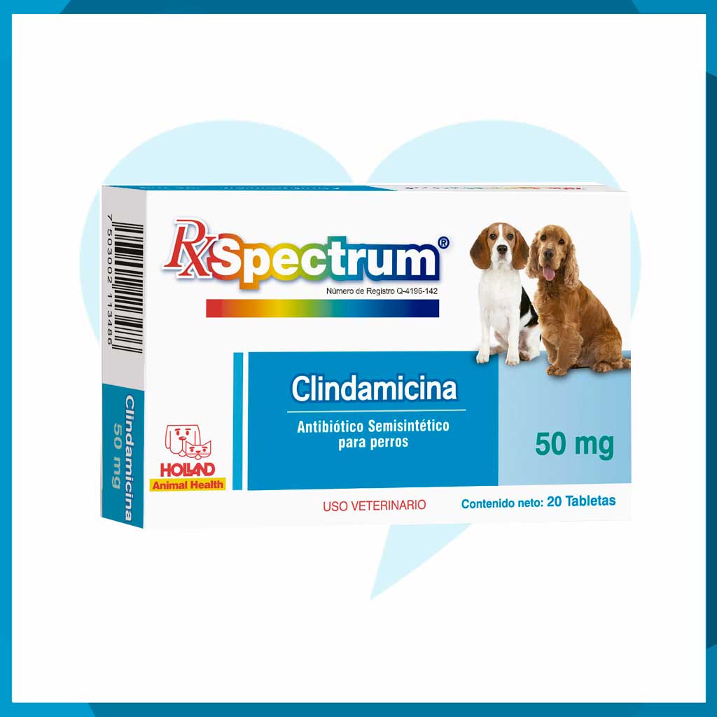 Rx Spectrum Clindamicina 50mg Caja 20 Tabletas
