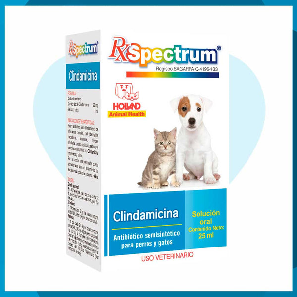 Rx Spectrum Clindamicina Solución Oral 25ml
