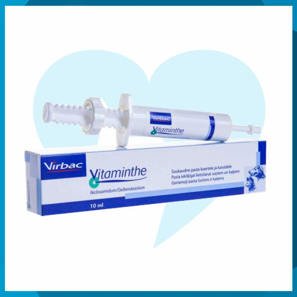 Vitaminthe Reforzado Jeringa 10ml