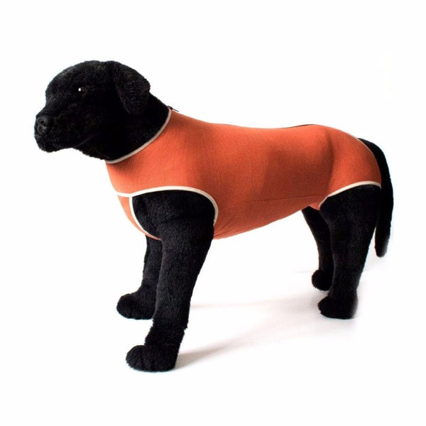 Body Cobre Original Talla 06 de 10-13kg