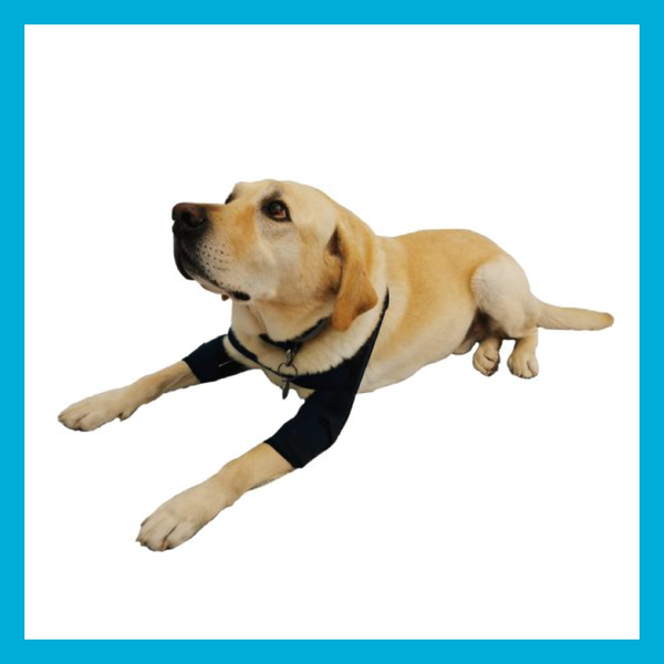 Codera Doble Para Perro XCH 12.1cm a 15cm