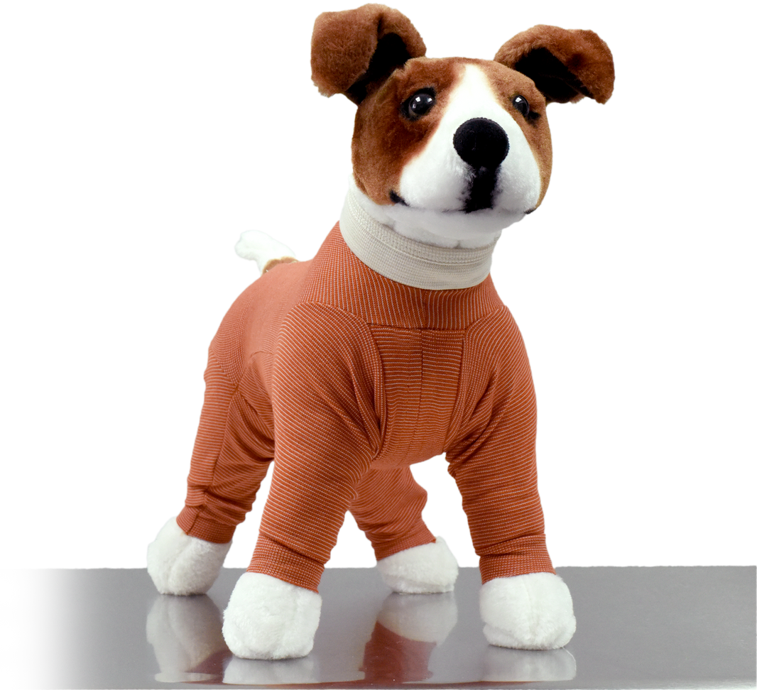 Body Cobre 4 Patas Talla 10 de 25-30kg