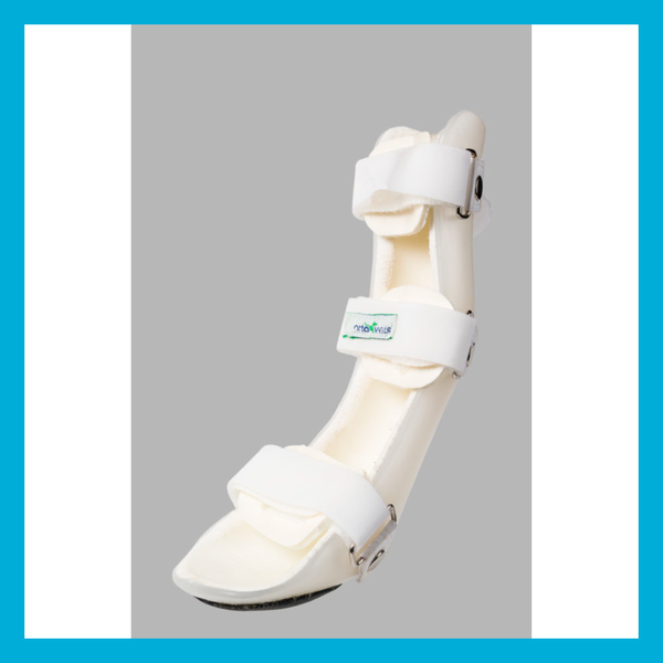Férula Trasera Rígida Para Perro Talla CH A24cm y B15cm